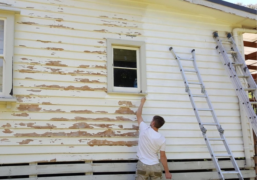 Exterior of a weatherboard home freshly painted by Ellison Painting